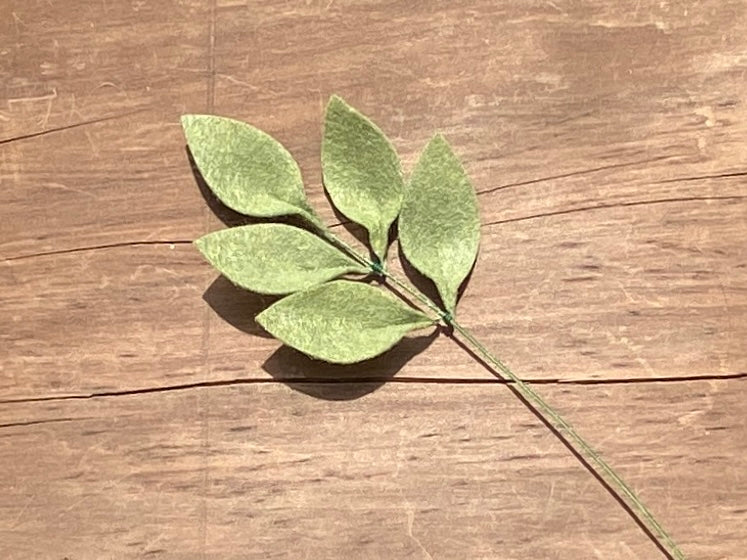 Leaf Stem
