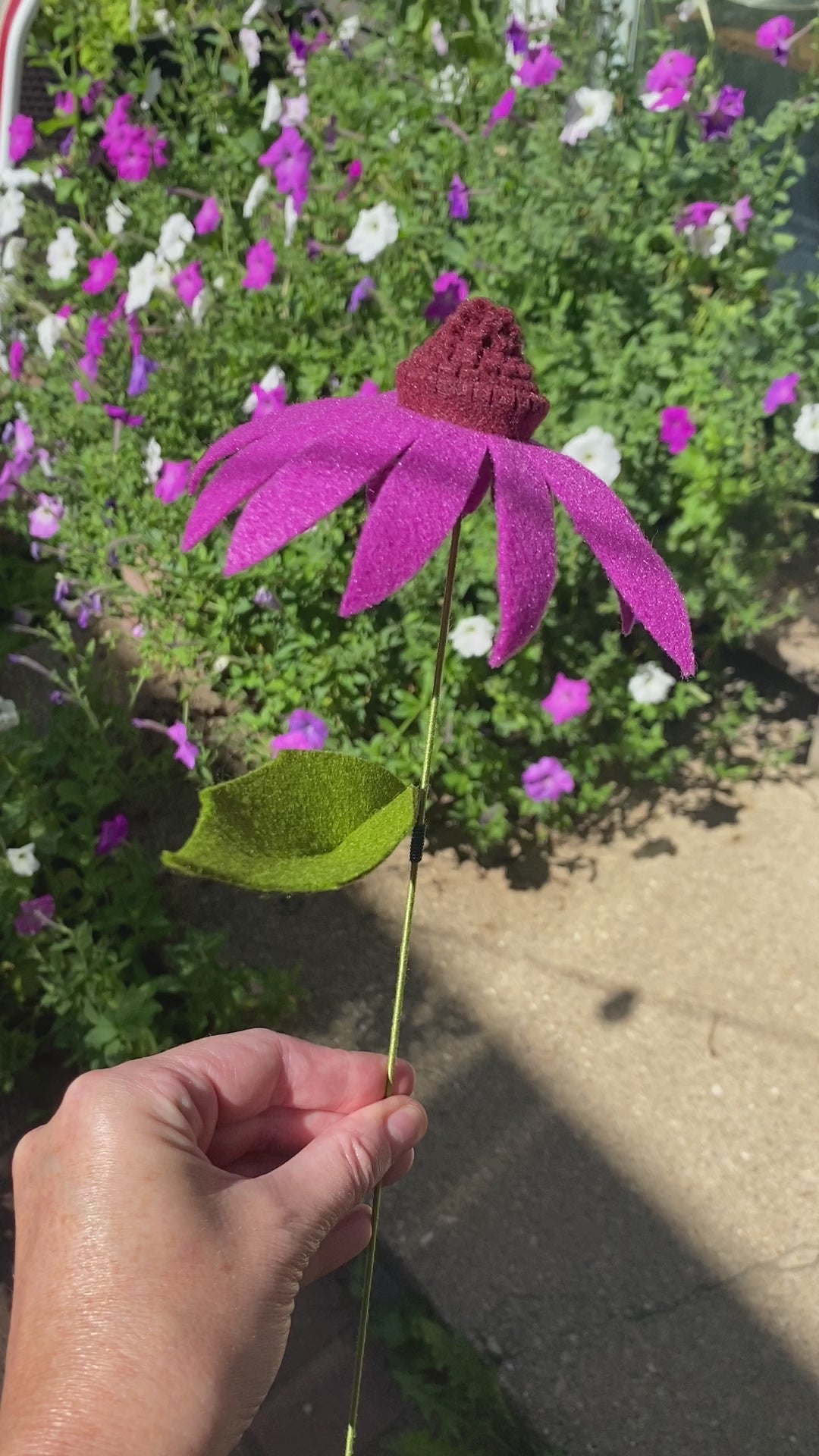 Purple Cone Flower