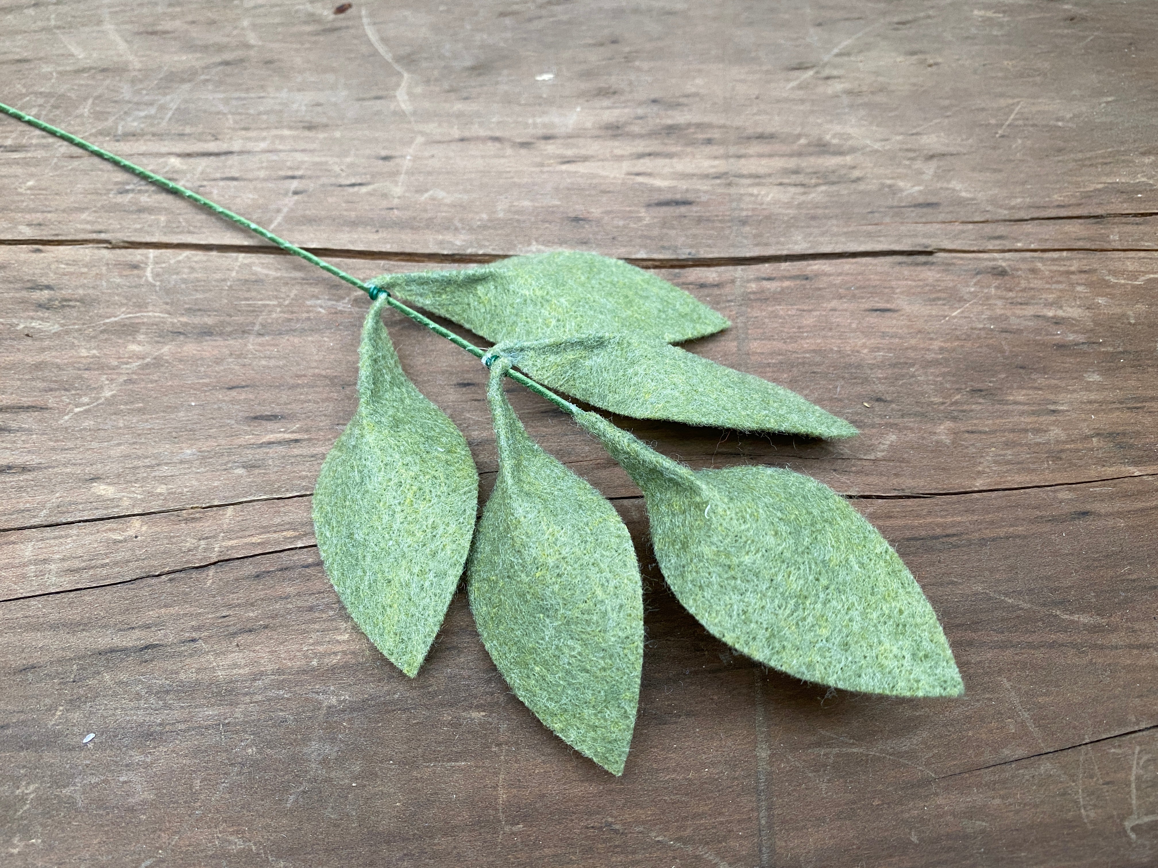 five leaf stem - olive color