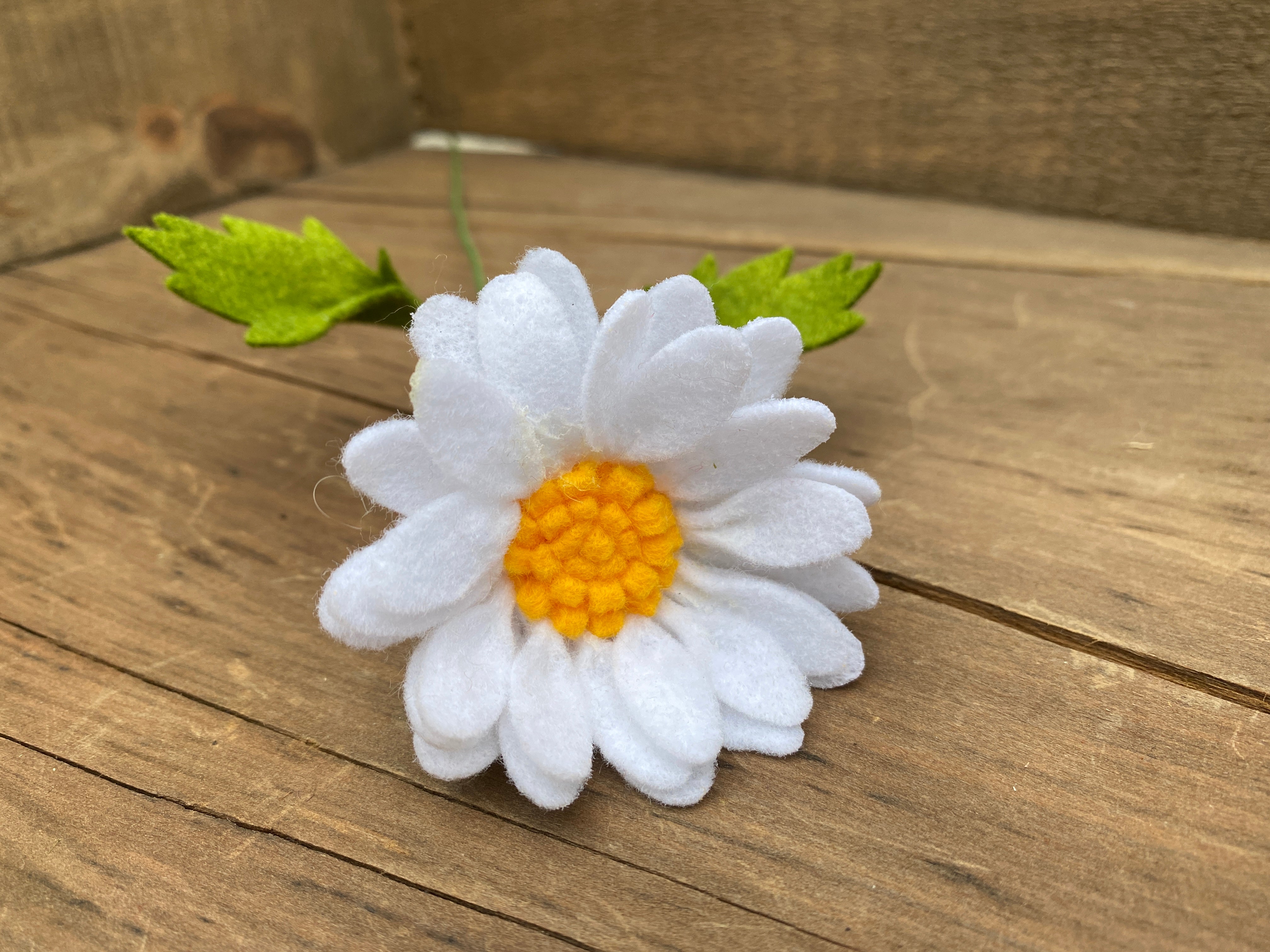 Daisy Gifts  First Whisper of Spring Daisy Bouquet - Monthly Sommelier USA